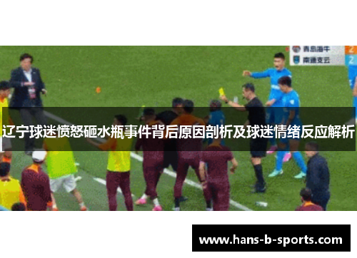 辽宁球迷愤怒砸水瓶事件背后原因剖析及球迷情绪反应解析